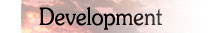 Web development